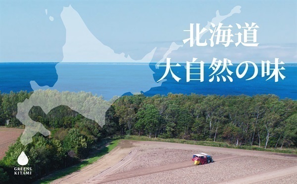 緑々こごみ　天然北海道 こごみ｜山菜の採れたて通販サイト。新潟村上から旬の天然山菜をお届け